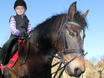 Dröge Flögeln, Reiten