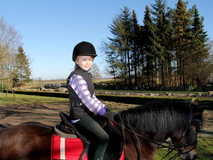 Dröge Flögeln, Reiten
