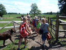 Dröge Flögeln, Reiten