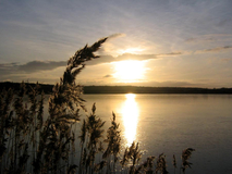 Halemer See bei Flögeln
