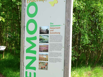 Flögeln Ahlenmoor