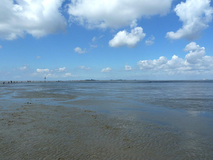 Nationalpark Wattenmeer Nationalpark Wattenmeer