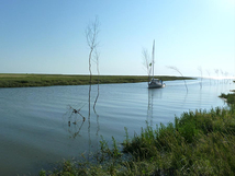 Nationalpark Wattenmeer Nationalpark Wattenmeer